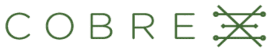 Cobre Metals logo